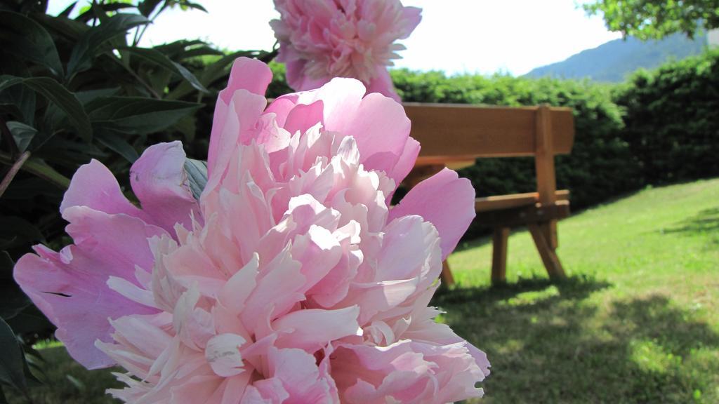 Appartement Garden ヴァルダーオラ エクステリア 写真